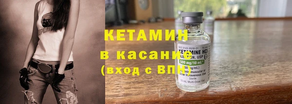 индика Аркадак