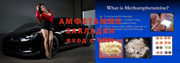 индика Аркадак