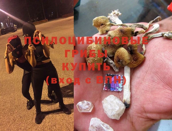 мдпв Армянск