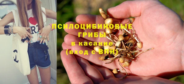 мдпв Армянск