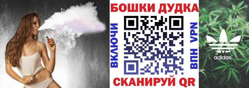 Бошки Шишки семена  Почеп 